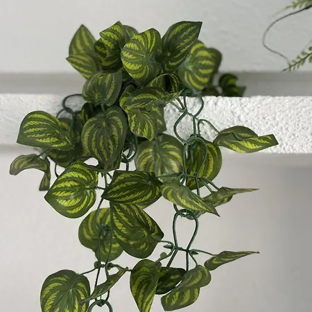 Panoramic Paradise Tenerife Ocean View & Comfort * Costa Adeje (Tenerife)