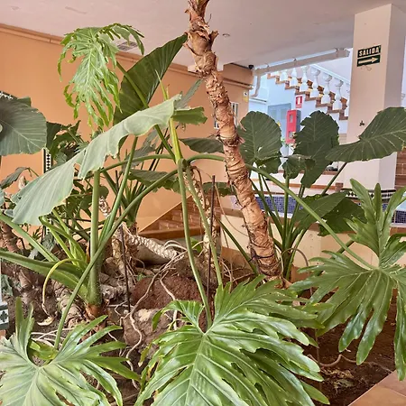 Apartamento Panoramic Paradise Tenerife Ocean View & Comfort