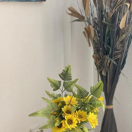 Panoramic Paradise Tenerife Ocean View & Comfort Costa Adeje (Tenerife)