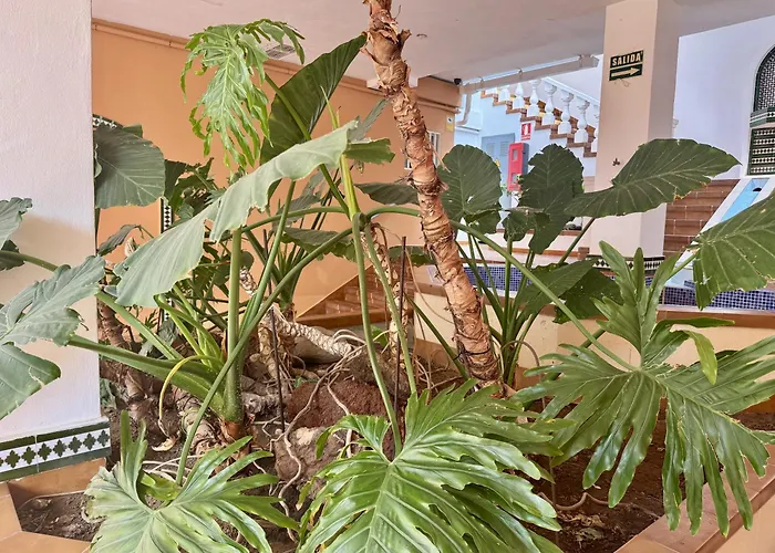 Apartamento Panoramic Paradise Tenerife Ocean View & Comfort