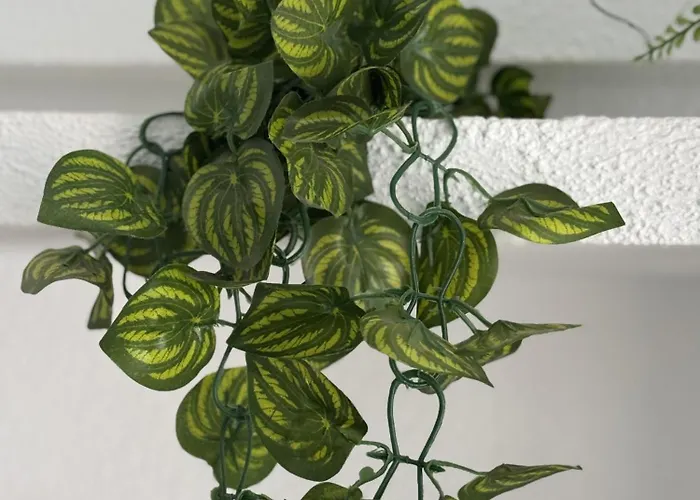 Panoramic Paradise Tenerife Ocean View & Comfort * Costa Adeje (Tenerife)